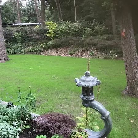 Japanse Bostuin Met Wifi Chalet Lochem