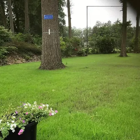 Σαλέ Japanse Bostuin Met Wifi Lochem