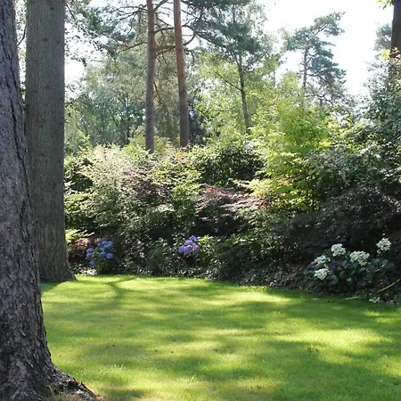 Chalet Japanse Bostuin Met Wifi