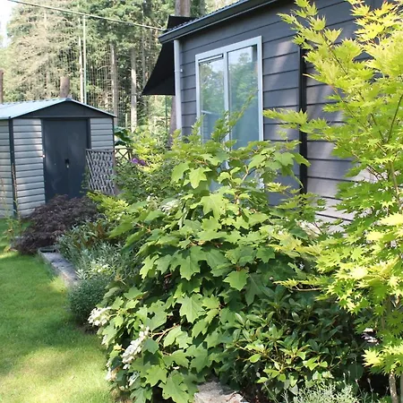 Japanse Bostuin Met Wifi