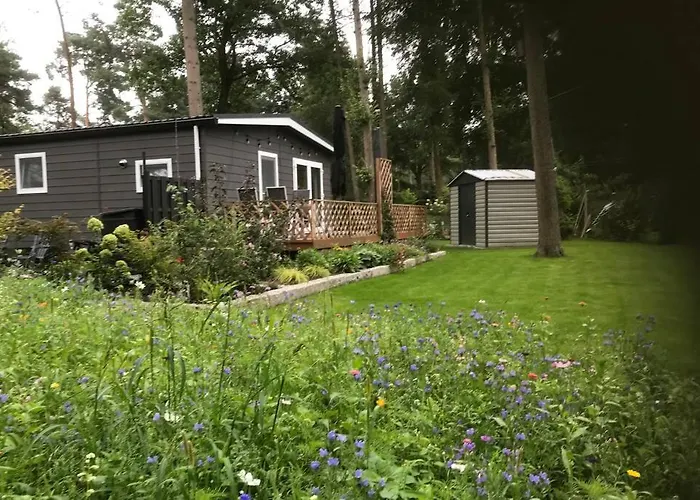 Alpstuga Japanse Bostuin Met Wifi