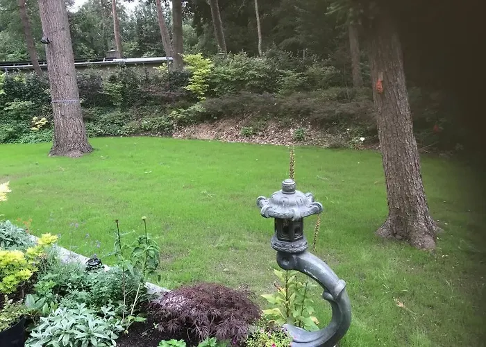 Japanse Bostuin Met Wifi Chalet Lochem