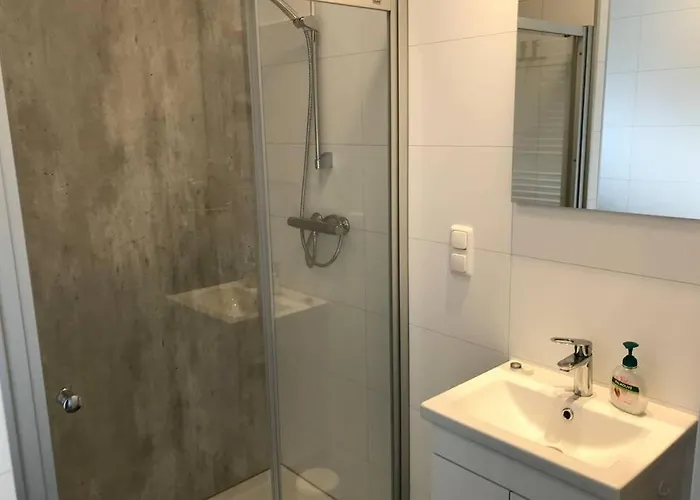 Japanse Bostuin Met Wifi