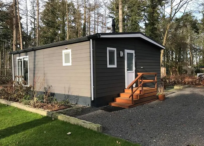 Japanse Bostuin Met Wifi Chalet Lochem