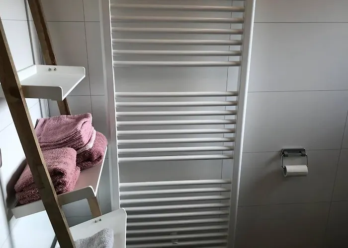 Japanse Bostuin Met Wifi * Lochem