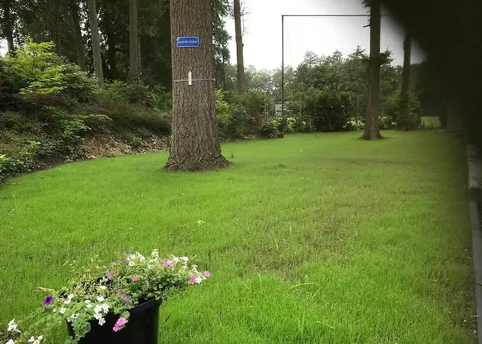 Alpstuga Japanse Bostuin Met Wifi Lochem