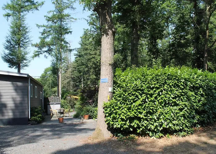 Chalet Japanse Bostuin Met Wifi