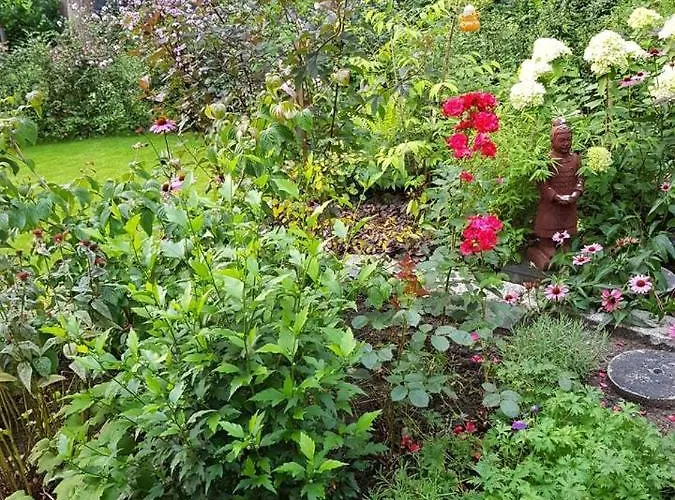 Japanse Bostuin Met Wifi Chalet *