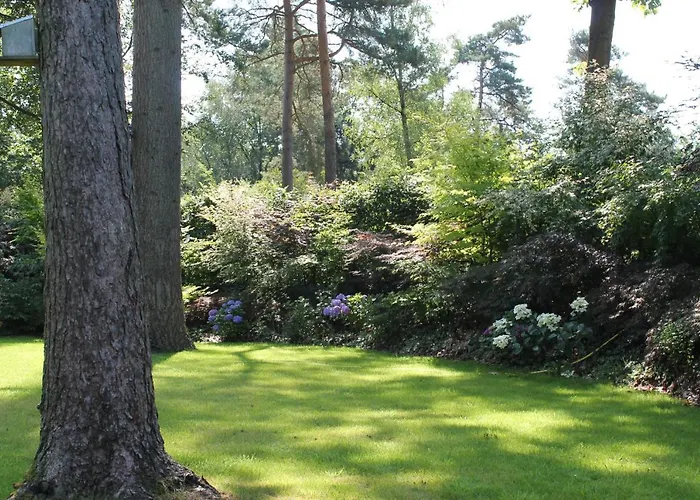 Chalet Japanse Bostuin Met Wifi