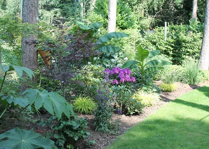 Japanse Bostuin Met Wifi Alpstuga