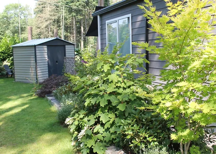 Japanse Bostuin Met Wifi