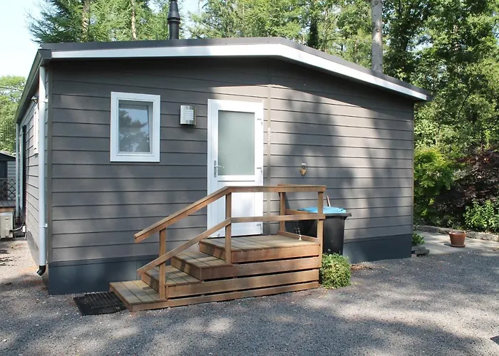 Japanse Bostuin Met Wifi