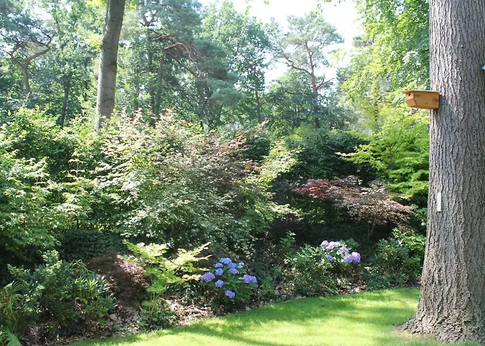 Japanse Bostuin Met Wifi Шале