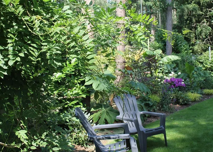 Japanse Bostuin Met Wifi Лохем