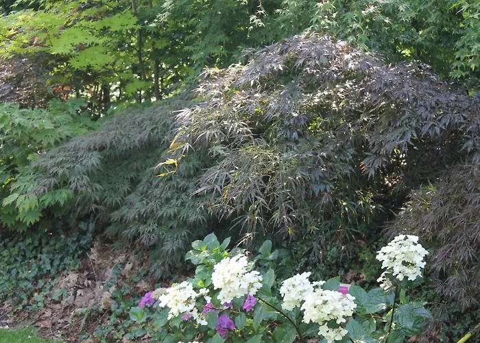 Japanse Bostuin Met Wifi Шале Лохем